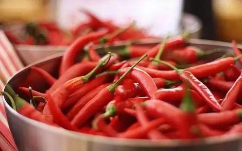 东北小辣椒吃瓜,辣味人生，笑料连连