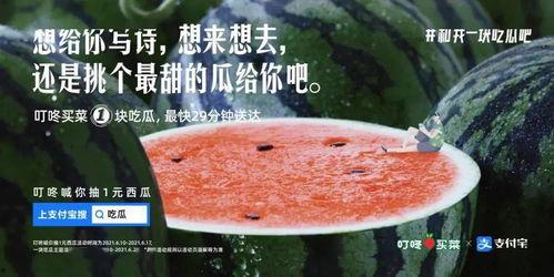 吃瓜销售文案