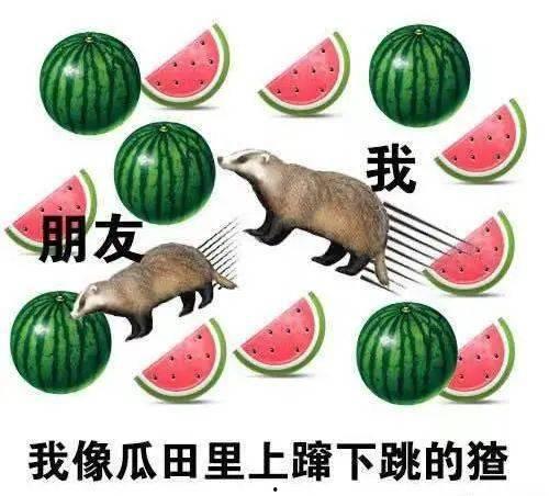 上海炮吃瓜,揭秘都市生活里的麻辣鲜香